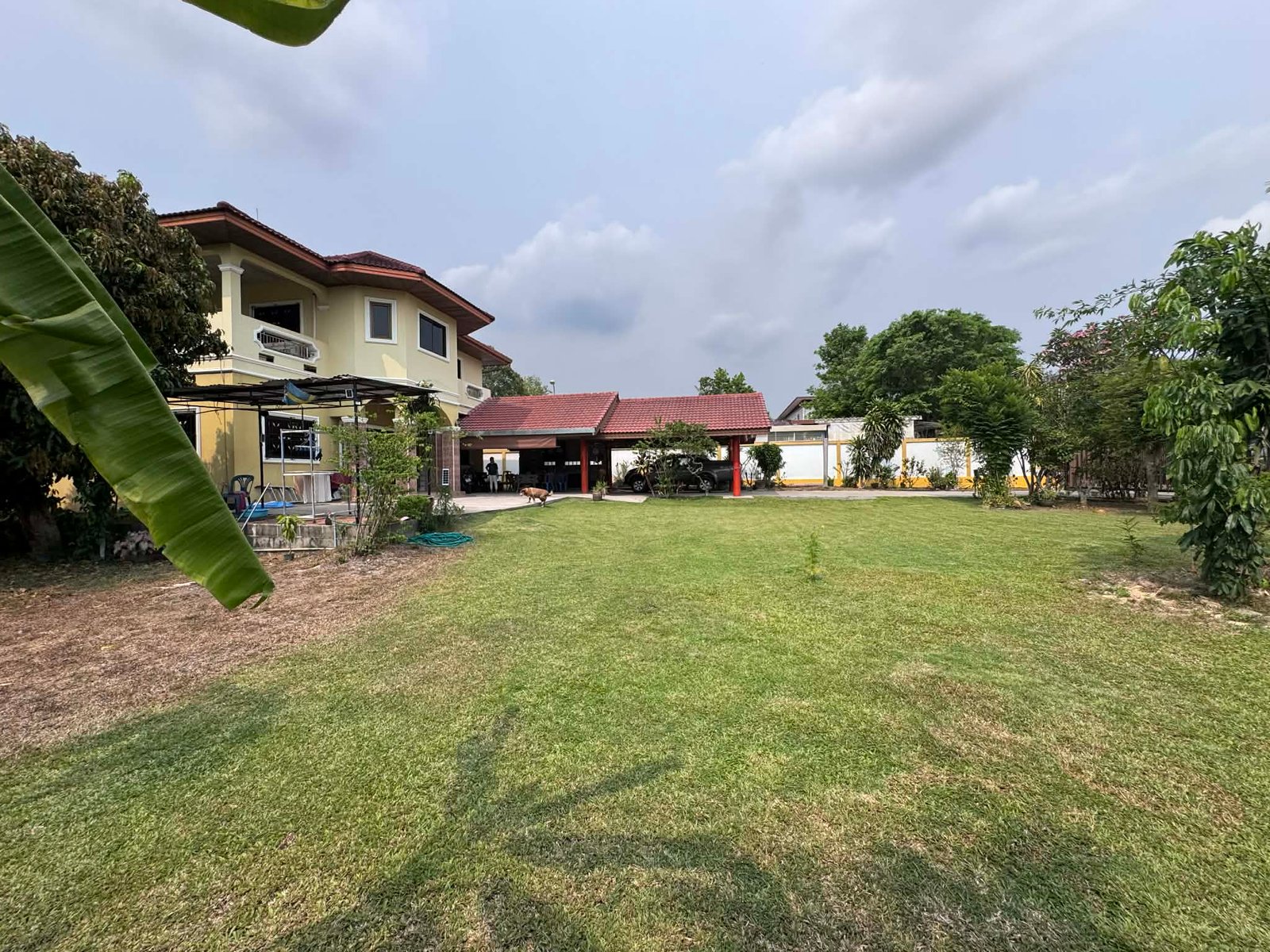 Pattaya house for sale on 1 rai