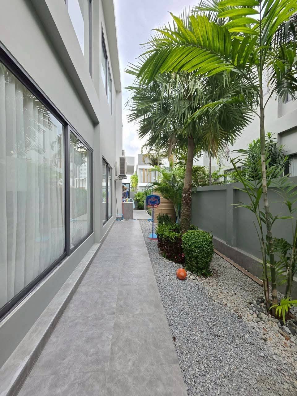 Modern narrow side passage with palms and gravel garden landscaping